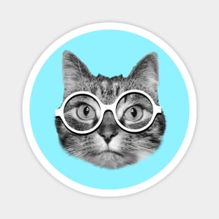 Cute hipster cat with white eyeglasses Magnet